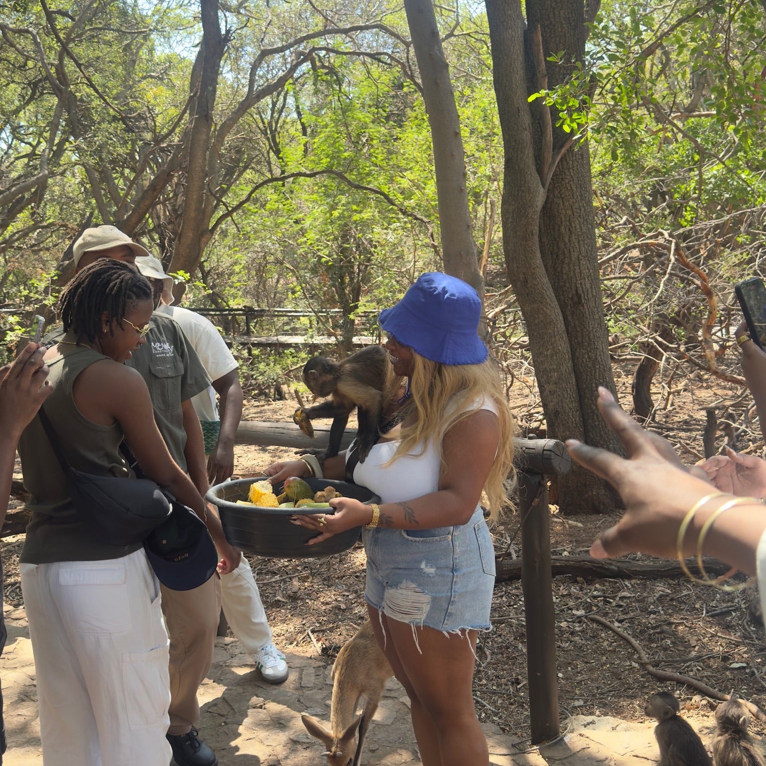 Jozi Edition 2026: TRIBE SESSIONS